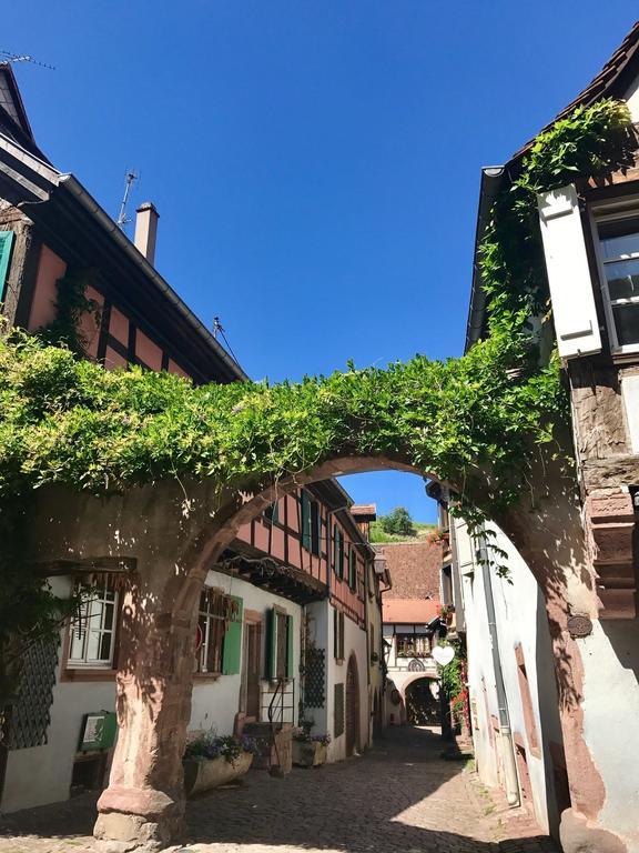Les Authentics - La Maison D'Amelie Riquewihr Eksteriør bilde